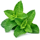 Peppermint