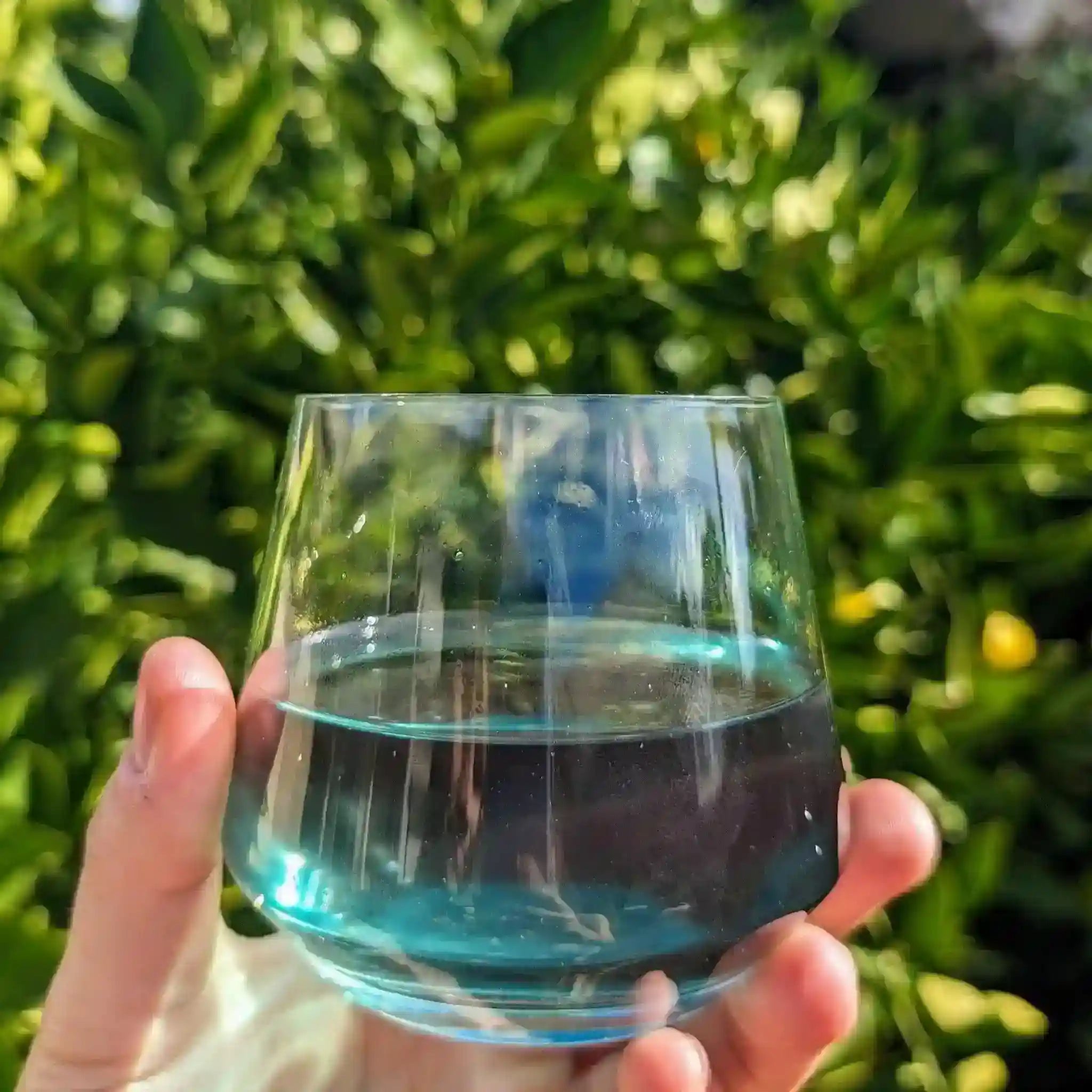 Hand holding a glass with blue liquid against a green leafy background